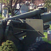 Cannon